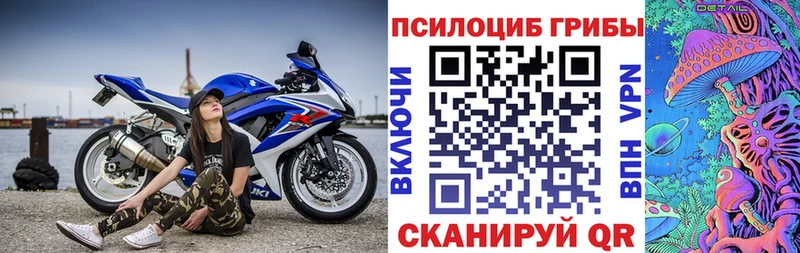 продажа наркотиков  Пушкино  Галлюциногенные грибы мухоморы 
