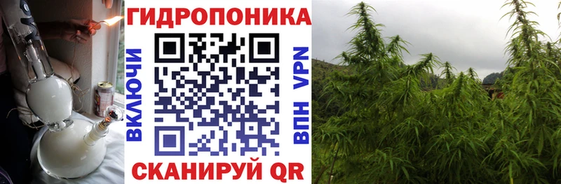 МАРИХУАНА гибрид  Пушкино 